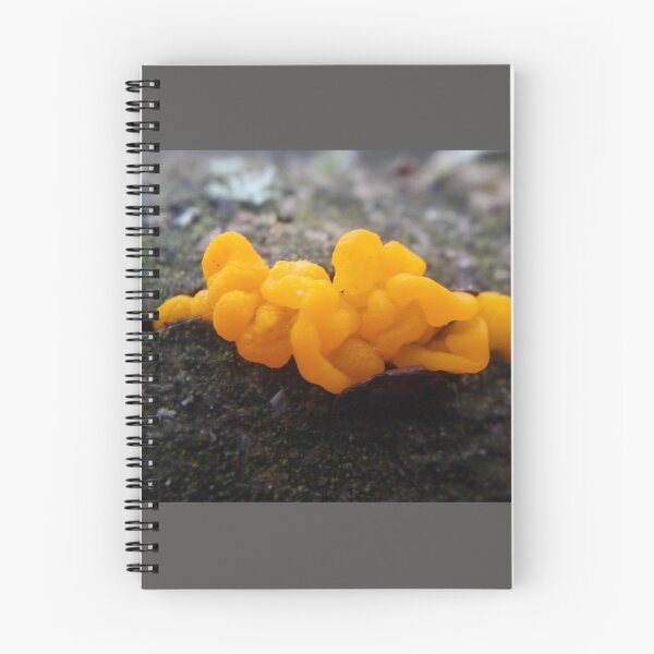 Item preview, Witches' Butter Jelly Fungus designed and sold by lovebacteria.