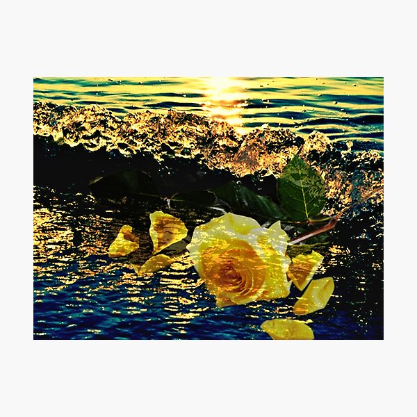 The amber wave Photographic Print