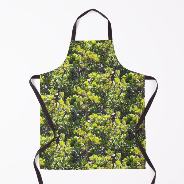 Aperçu de l'œuvre Belles plantes succulentes du jardin potager créée et vendue par omg-designs.