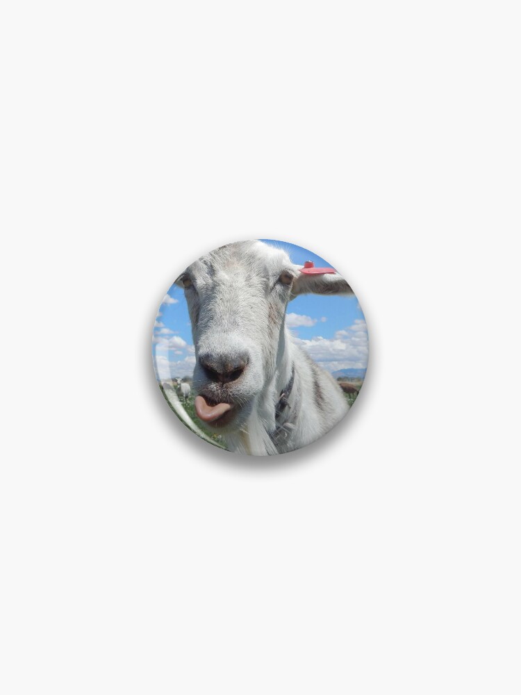 Pin on The GOAT