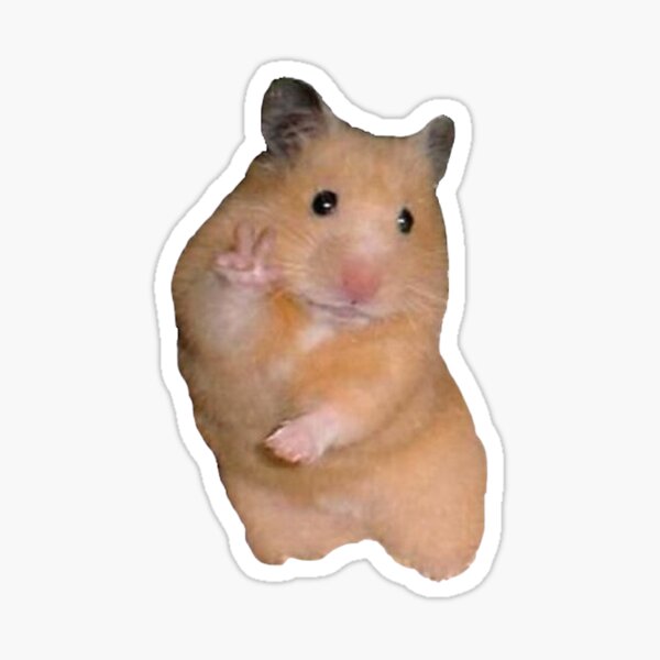 Hamster Meme Gifts Merchandise Redbubble