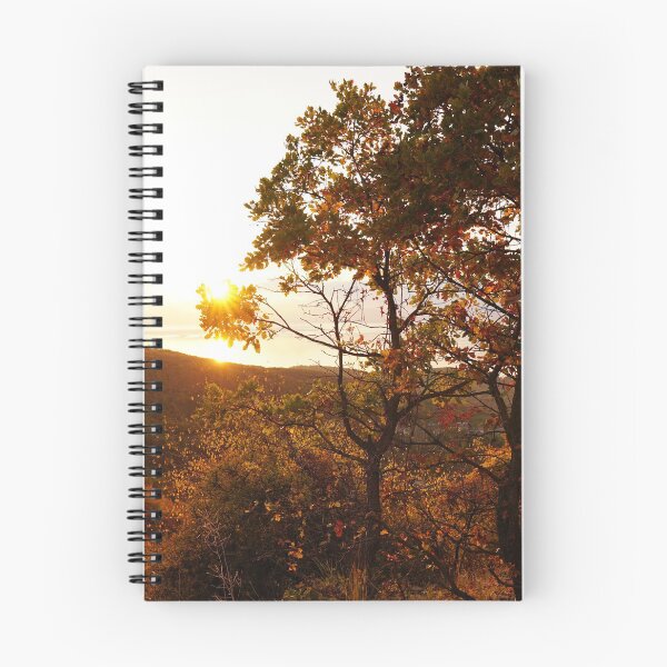 Item preview, sunset through oaks in fall designed and sold by distracted.