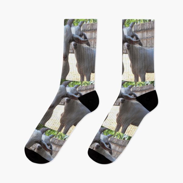 Item preview, Goat hugs, and real unicorns designed and sold by Stephanie  Skeem.