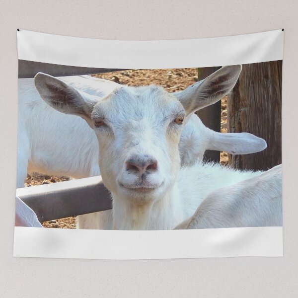 Item preview, My smiling white goat designed and sold by Stephanie  Skeem.