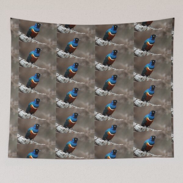 Item preview, Superb Starling, Serengeti, Tanzania  designed and sold by Carole-Anne.