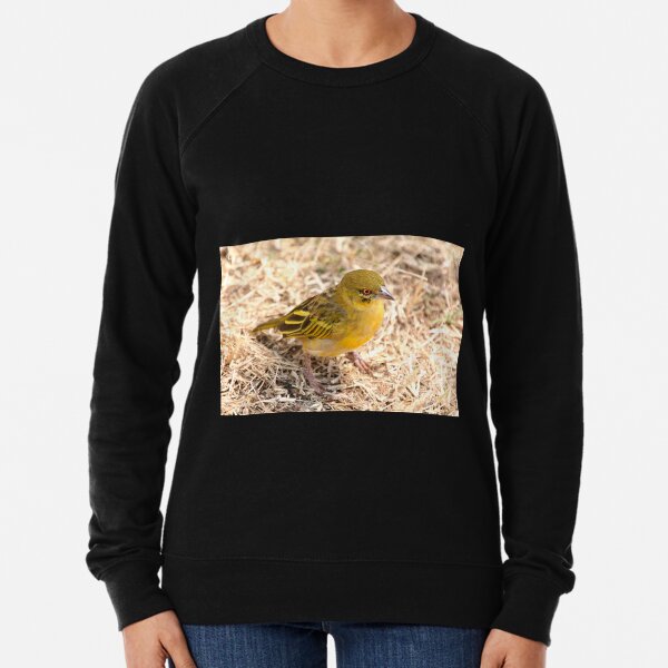 Yellow-fronted Canary, Serengeti National Park, Tanzania Lightweight Sweatshirt