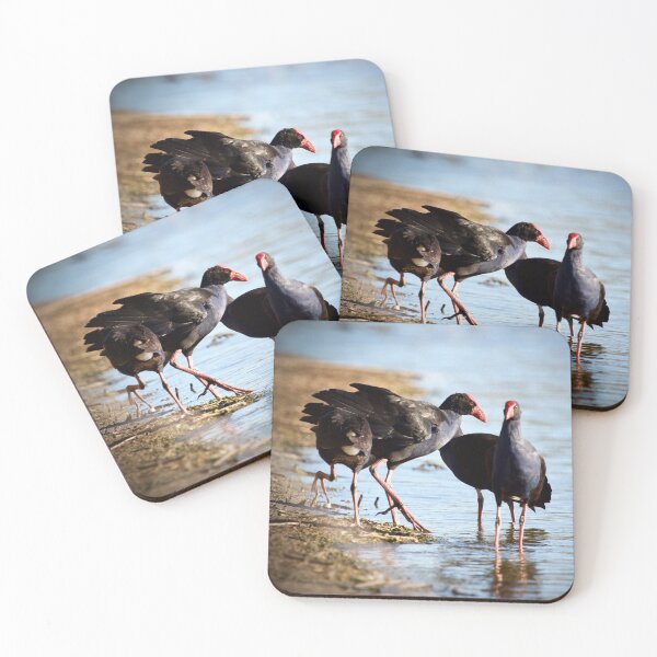 Item preview, Australasian swamphens  designed and sold by MargsNaturePix.