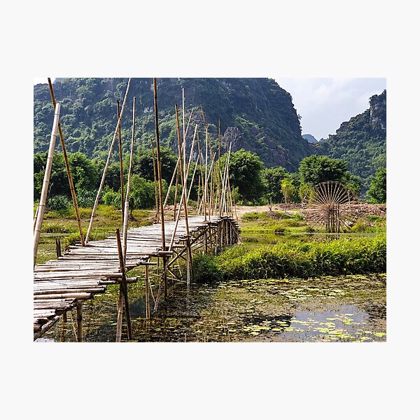 Rural Bamboo Bridge, Trang An Region, Vietnam Photographic Print