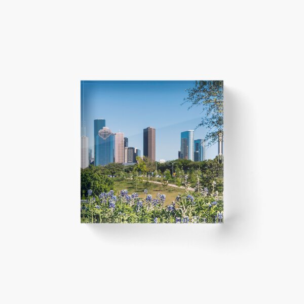 Artikelvorschau, Downtown Houston, Texas im Frühling mit Bluebonnets im Vordergrund entworfen und verkauft von Raul Cano.