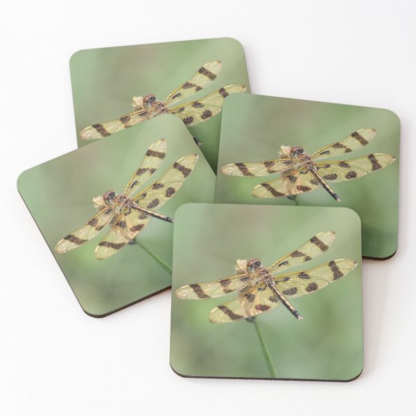 Item preview, Golden Dragonfly Shimmering in the Sun designed and sold by LisaNaturePhoto.