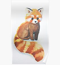 Red Panda Poster