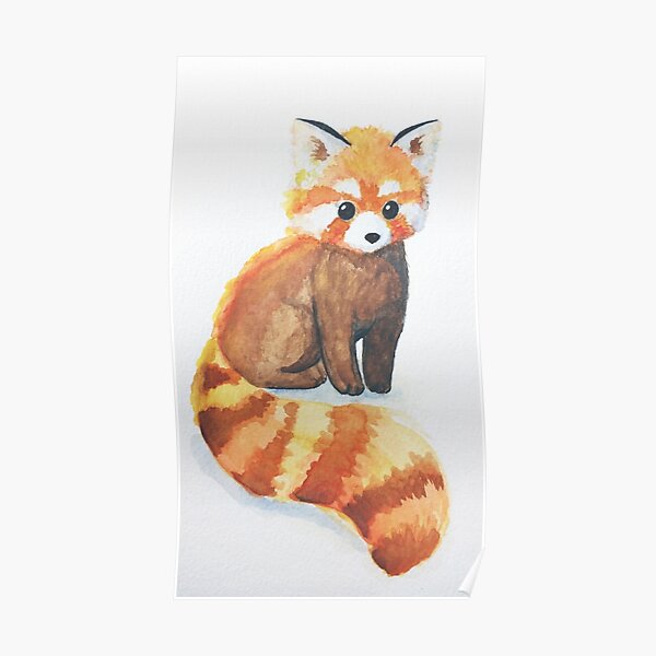 Roter Panda Poster