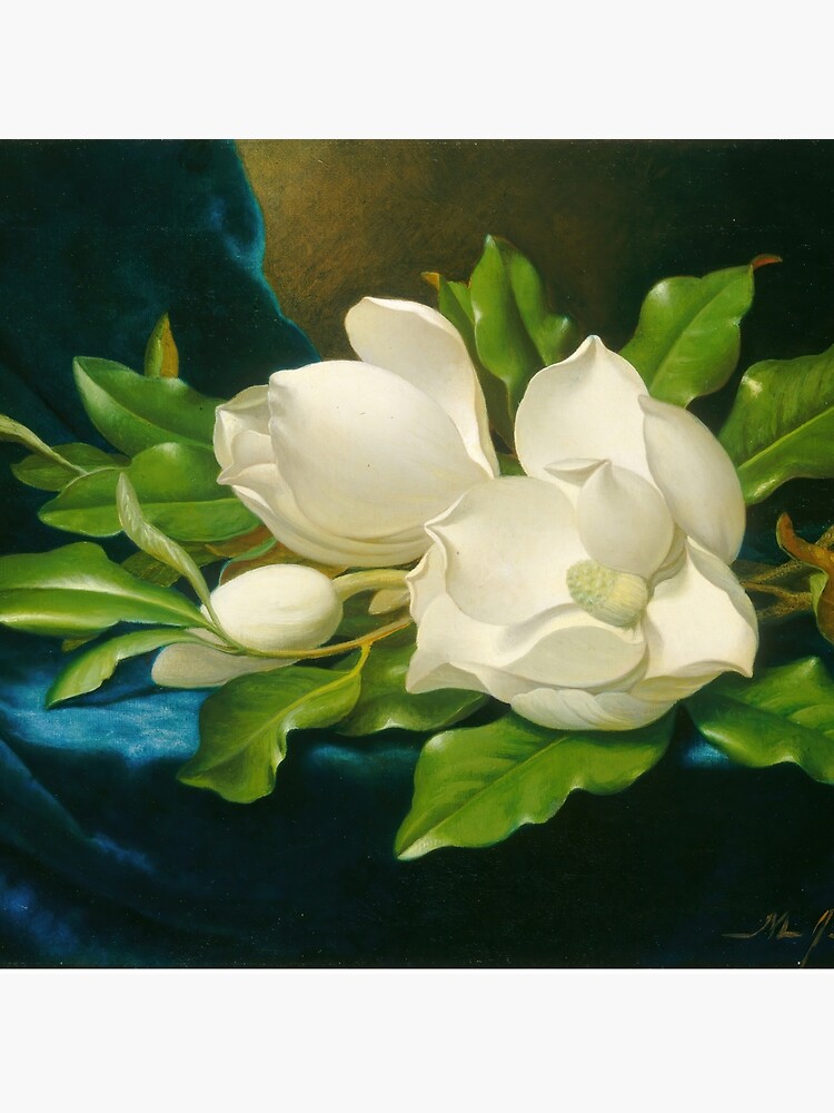 Magnolias on Gold Velvet Cloth by Martin Johnson Heade