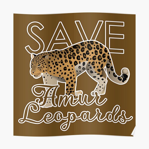Amur Leopards Posters | Redbubble