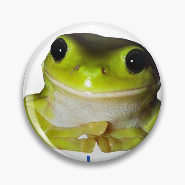 Item preview, bisexual rights frog  designed and sold by kaylee marie.