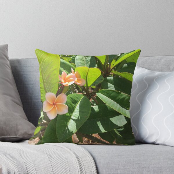 Item preview, Hawaiian pink plumeria and green leaves photograph designed and sold by emiliemakani.