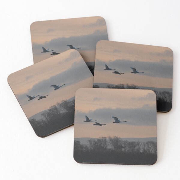 Item preview, Flying Swan Silhouettes  designed and sold by dvlcom.