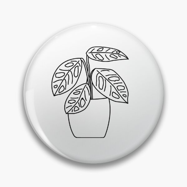 Item preview, Plant Gatenplant Monstera Obliqua Monkey Leaf Lines designed and sold by reujken.