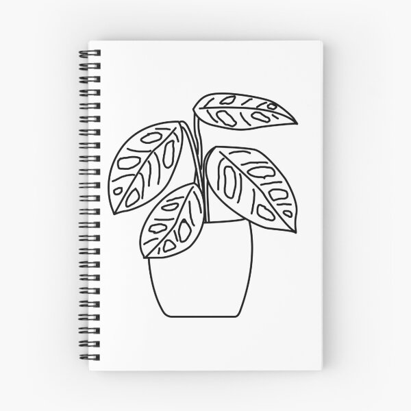 Item preview, Plant Gatenplant Monstera Obliqua Monkey Leaf Lines designed and sold by reujken.