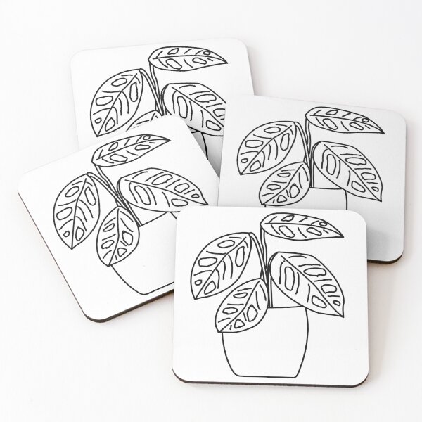 Item preview, Plant Gatenplant Monstera Obliqua Monkey Leaf Lines designed and sold by reujken.