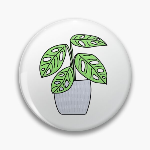 Item preview, Plant Gatenplant Monstera Obliqua Monkey Leaf Color designed and sold by reujken.