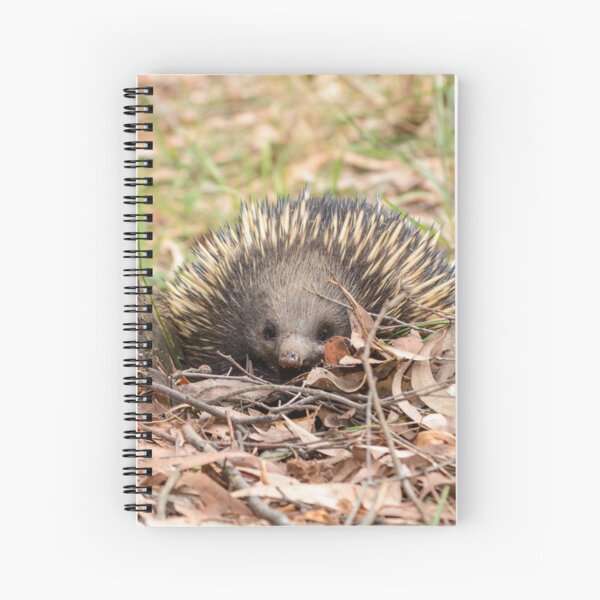 "Echidna Face" - Australian Animals|Australian Wildlife Spiral Notebook
