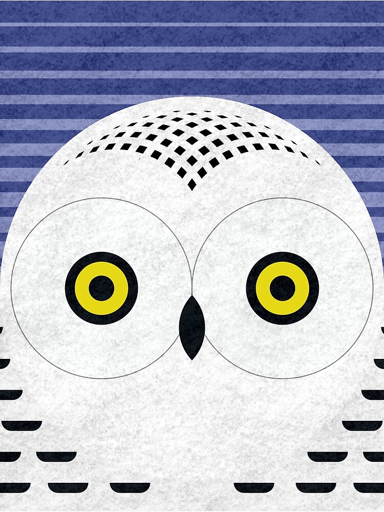 Snowy Owl Head by scottpartridge