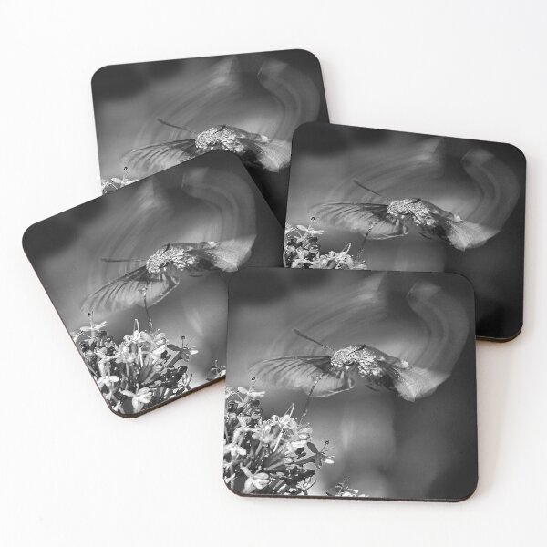 Item preview, New finition  r1621/  THE BEST  " Black & white "Beautiful THE SPHINX (butterfly) 2 (n&b)(t) by Olao-Olavia / Okaio Créations  by fz 1000 360.000 photos designed and sold by o.okaïo.