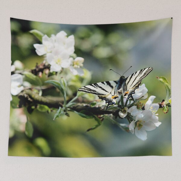 Item preview, Butterfly Flambé designed and sold by Denis Charmot.