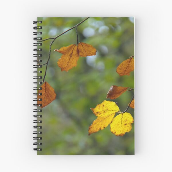 Item preview, Beech Leaves designed and sold by Sue Robinson.