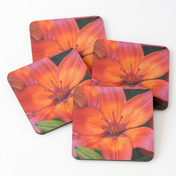 Item preview, Red and orange asiatic hybrid lily  designed and sold by FunkiFunki.