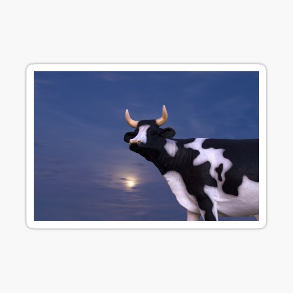 Friendly Play Cow Sticker