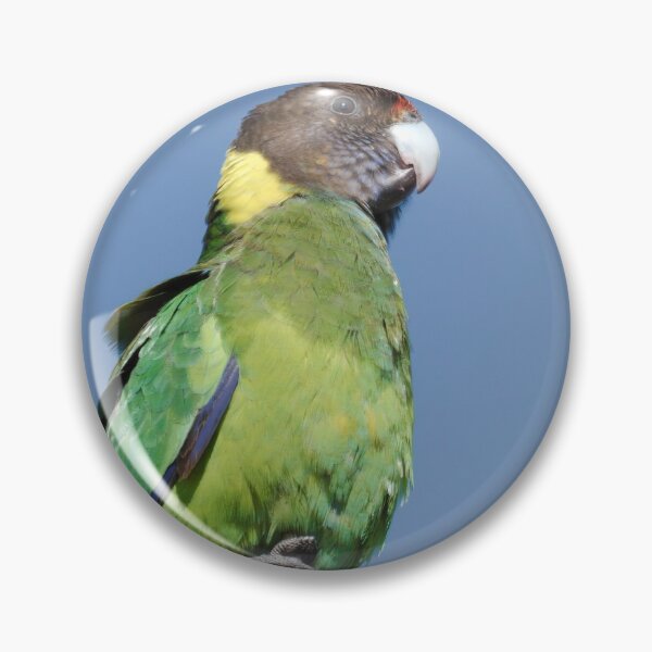 Item preview, Wild Australian Ringneck in a tree designed and sold by hendrikspix.