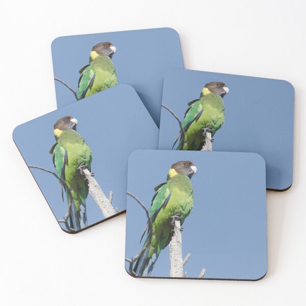 Item preview, Wild Australian Ringneck in a tree designed and sold by hendrikspix.