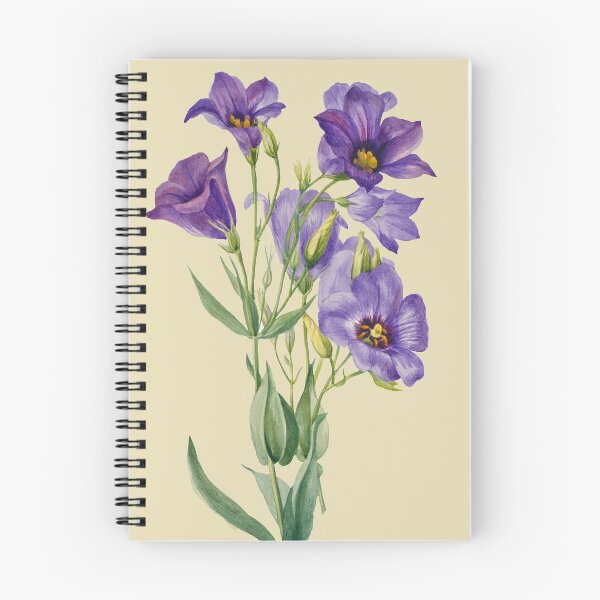 Item preview, Eustoma russelianum Texas Bluebell    pretty purple flowers designed and sold by domdjs4239.