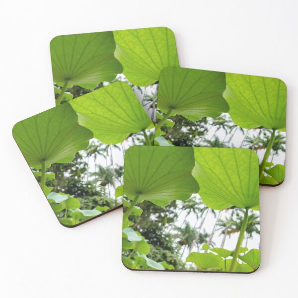 Item preview, Under the Auspices of Lotus and Royal Palm designed and sold by The Discreet Peacock.