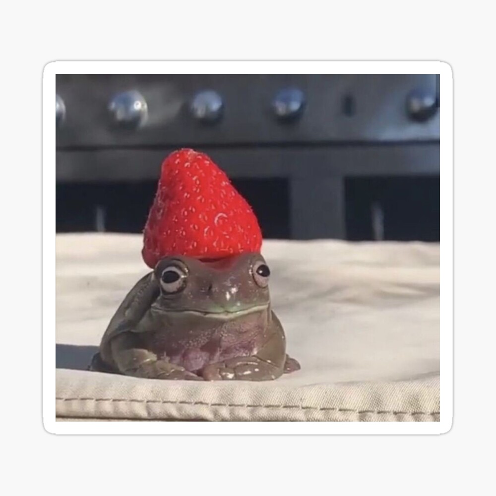 Kawaii frog with a strawberry on it's head