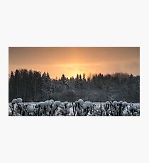 Winter evening Photographic Print