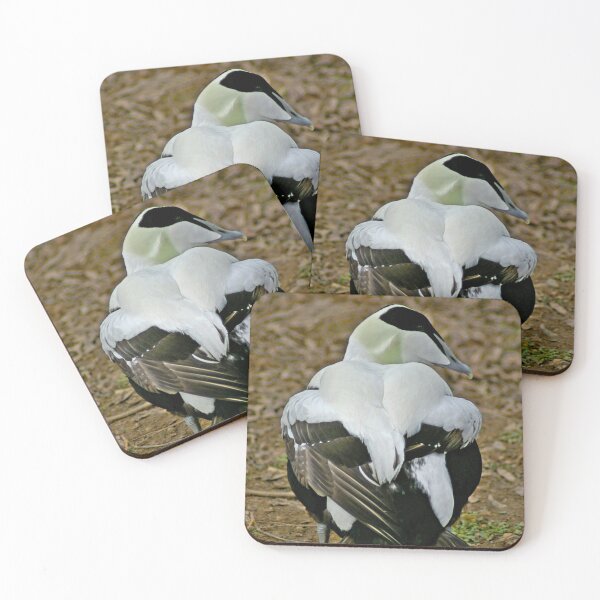 Item preview, Eider Either  designed and sold by Yampimon.