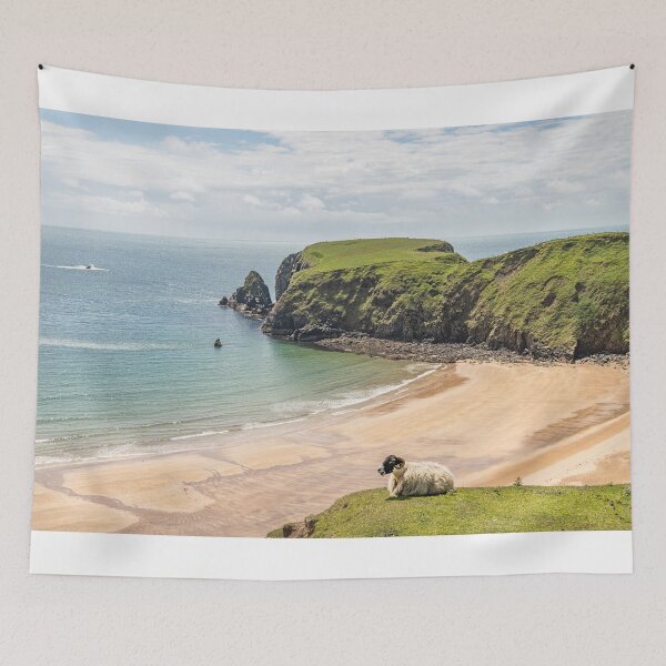 Item preview, A Sheep on the cliffs at Malin Beg Beach designed and sold by dvlcom.