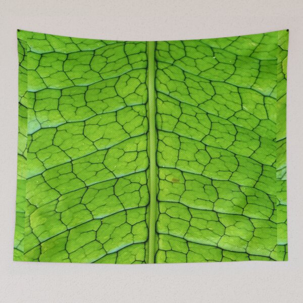 Item preview, Crocodile Skin designed and sold by Dead-Moroz.