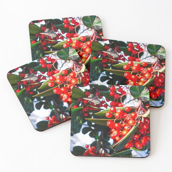 Item preview, Winter garden designed and sold by Garlawach.