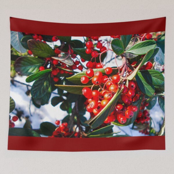 Item preview, Winter garden designed and sold by Garlawach.
