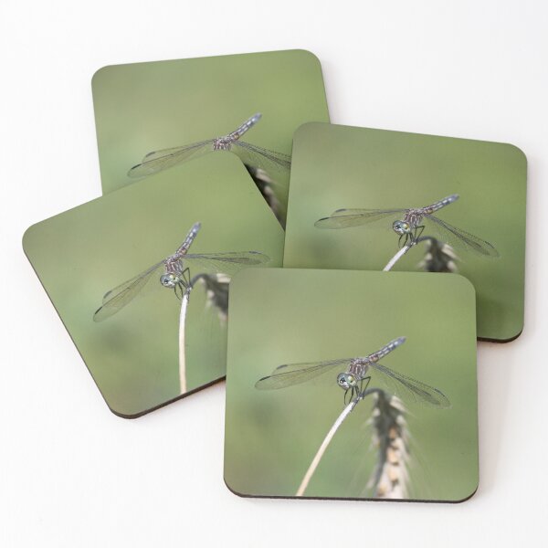 Item preview, Ultra Cool Dragonfly Taking a Break designed and sold by LisaNaturePhoto.