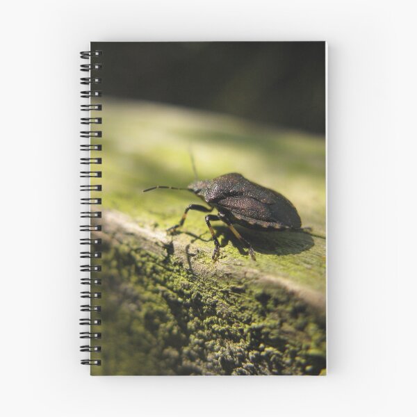 Item preview, shield bug in a green world designed and sold by Melodie Maker art.