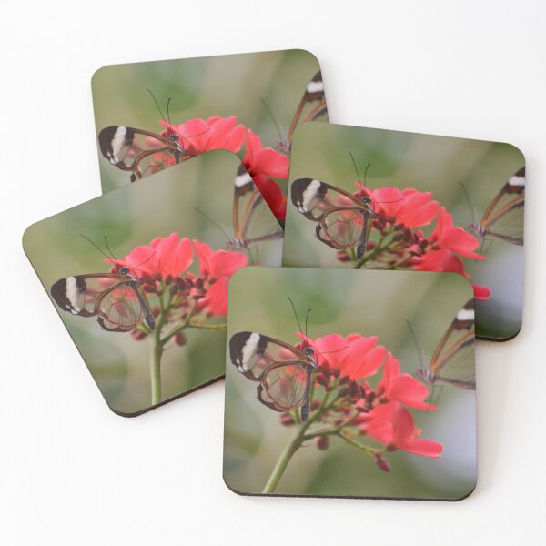 Item preview, Clear-Winged Butterflies designed and sold by PlaidPancakes.