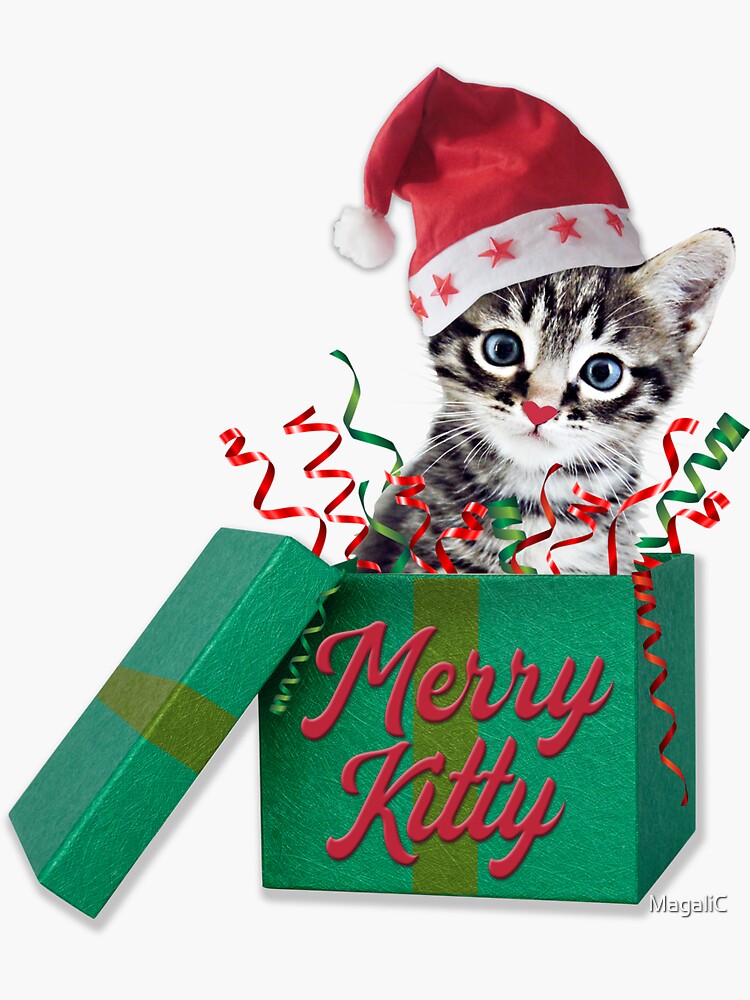 Kitty top merry christmas