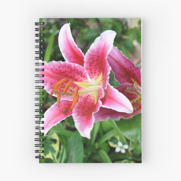 Artikelvorschau, Stargazer Lilien mit Biene entworfen und verkauft von FunkiFunki.