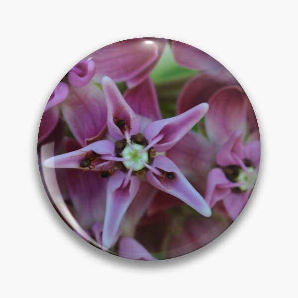 Item preview, Showy Milkweed designed and sold by PlaidPancakes.
