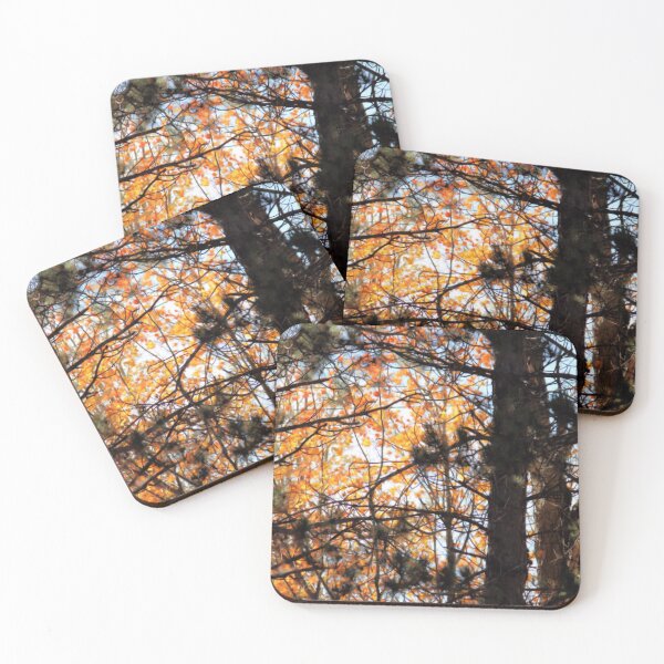 Item preview, Autumn Among the Pines designed and sold by kristimb.